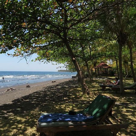 Bali Sandat Теджакула Экстерьер фото